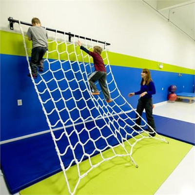 Ninja Cargo Net