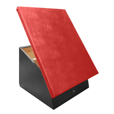 Spring Step with Red Vinyl